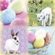 Wholesale Easter Cards and Gifts
