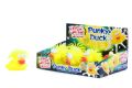 12 Punky ducks Part No.AWX2610