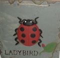 Garden wall plate Part No.AWX2464