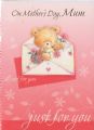 Cute Wholesale Mother's Day Cards Part No.x HSM119D