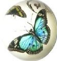 Glass paper weight Part No.papw08