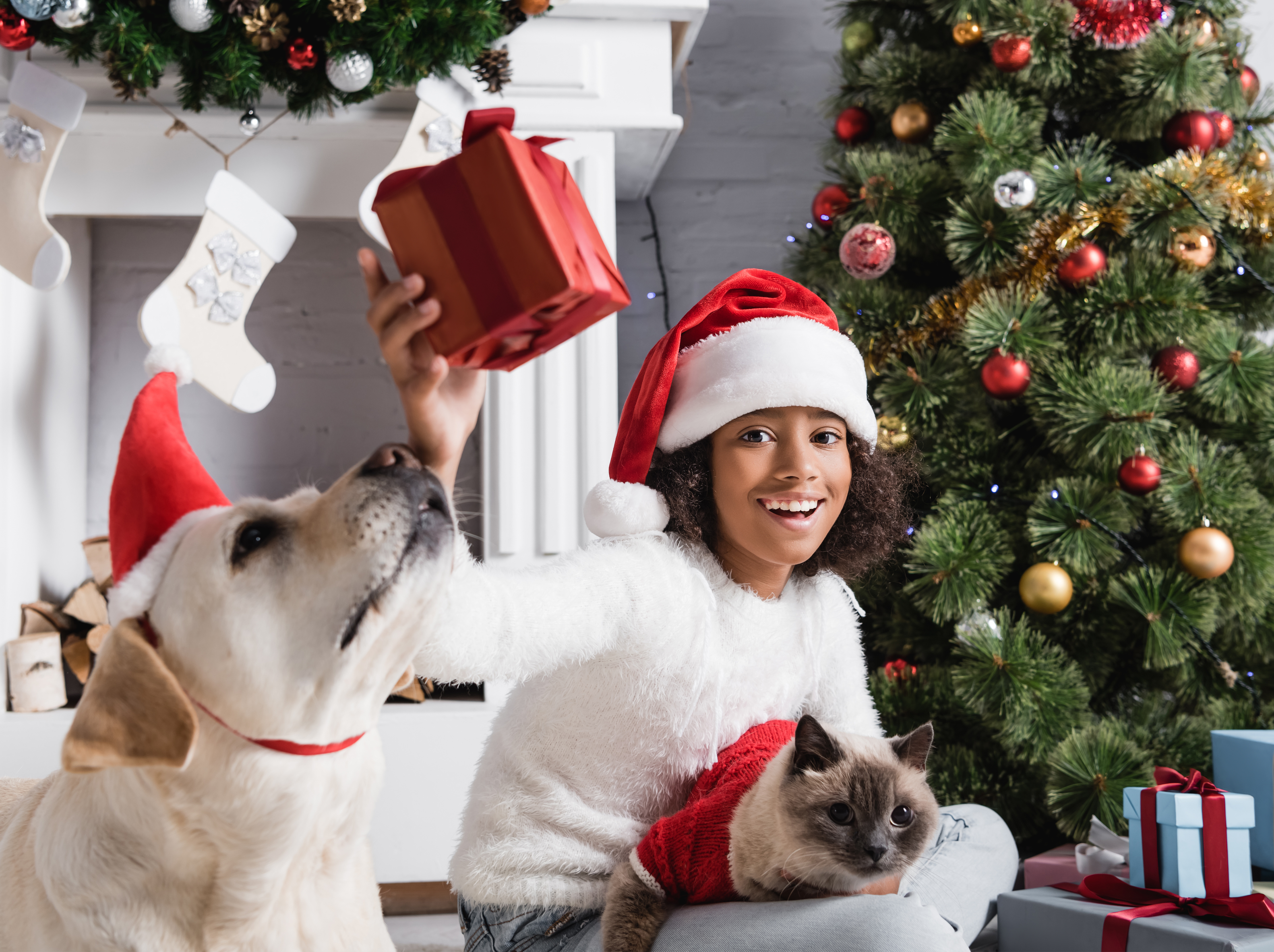 GIFTS FOR PETS 
